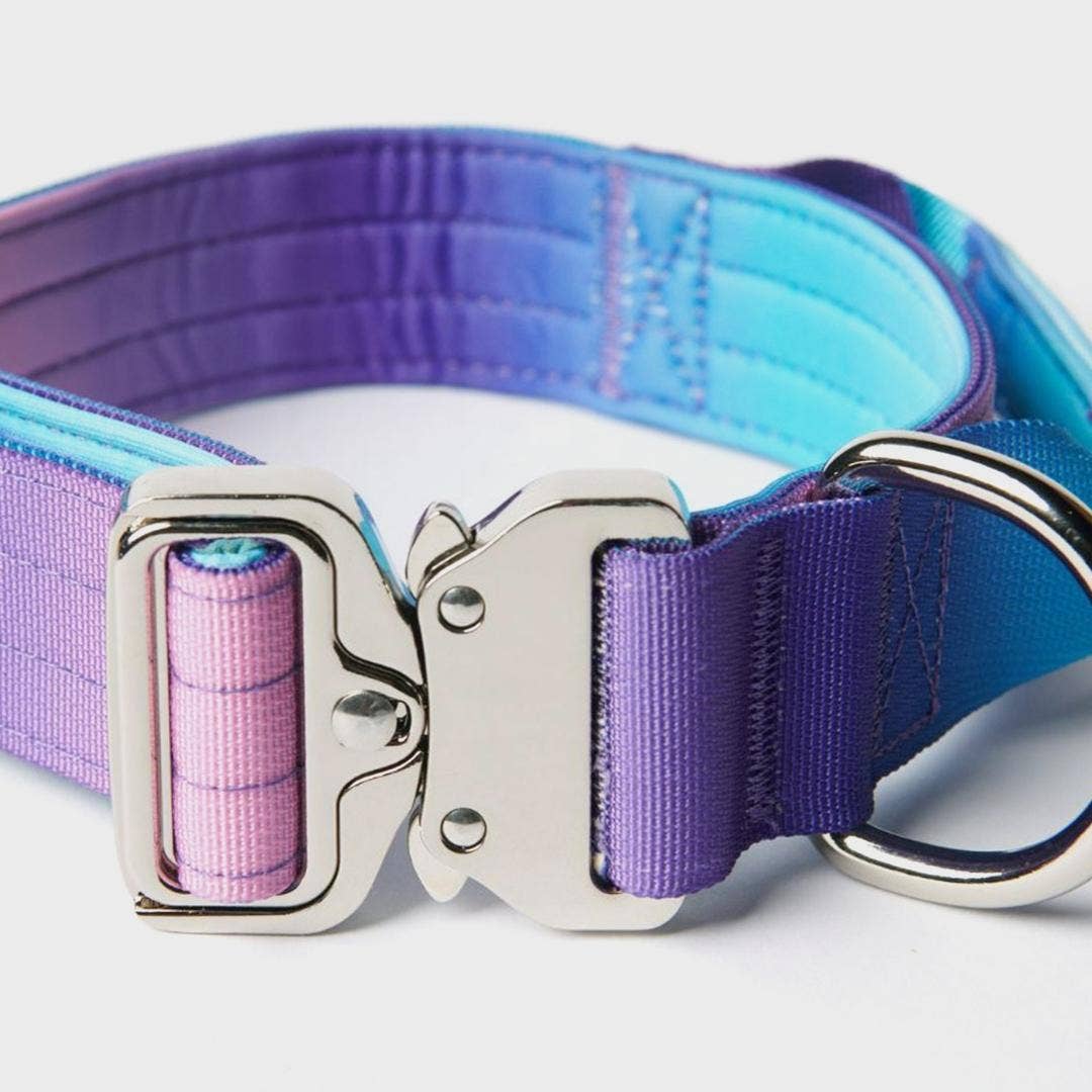 Spark Paws - Taktisches Hundehalsband — 90er Retro (1,5 Zoll/4 cm)