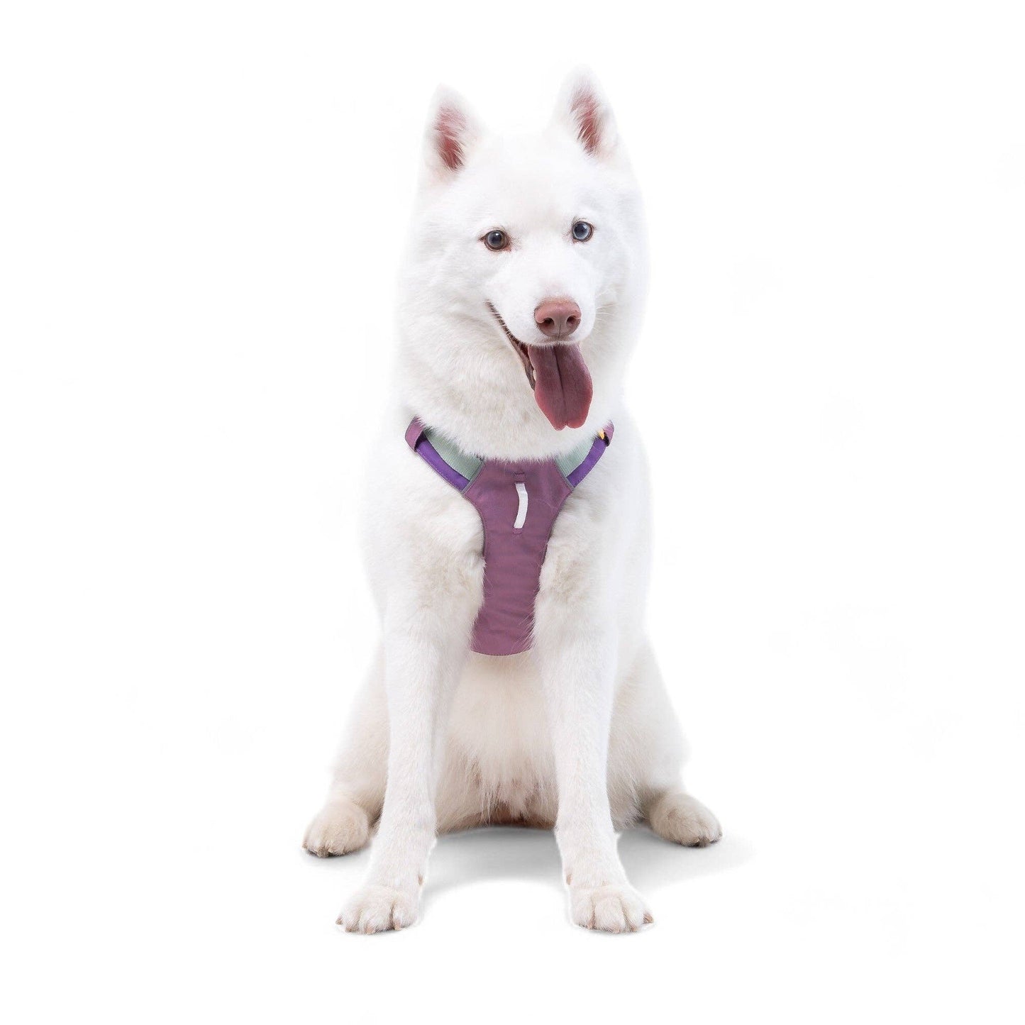 Woolly Wolf - Alpha 360 Harness Mauve Mix