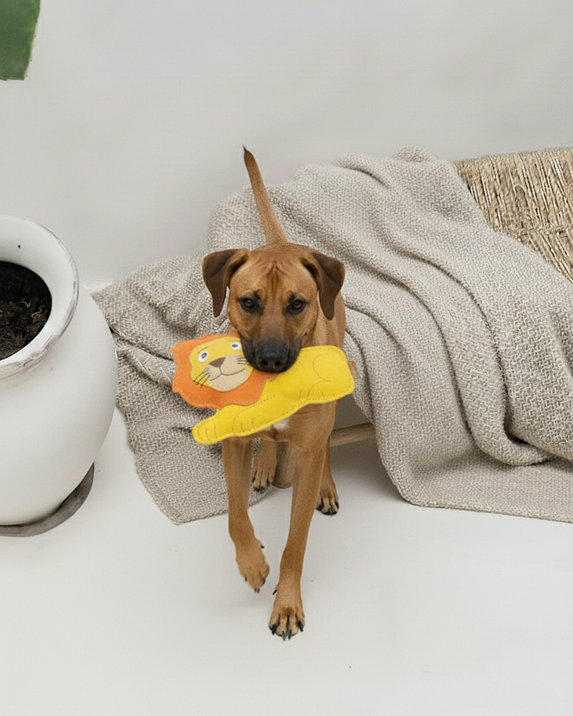 BUDDY - Hundespielzeug aus Leder "Löwe"