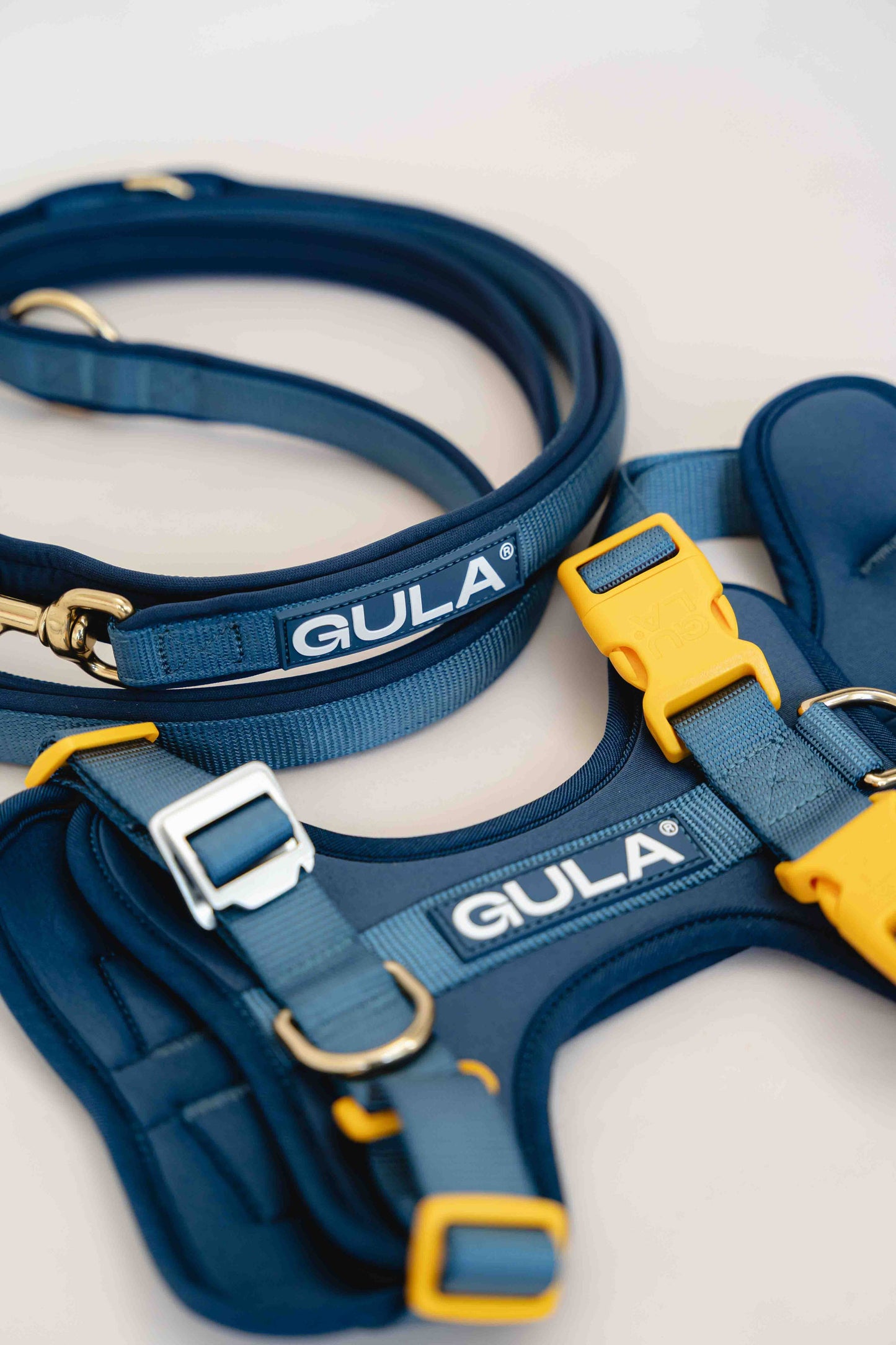 Hundegeschirr NEU - Blau & Gelb - Größe L