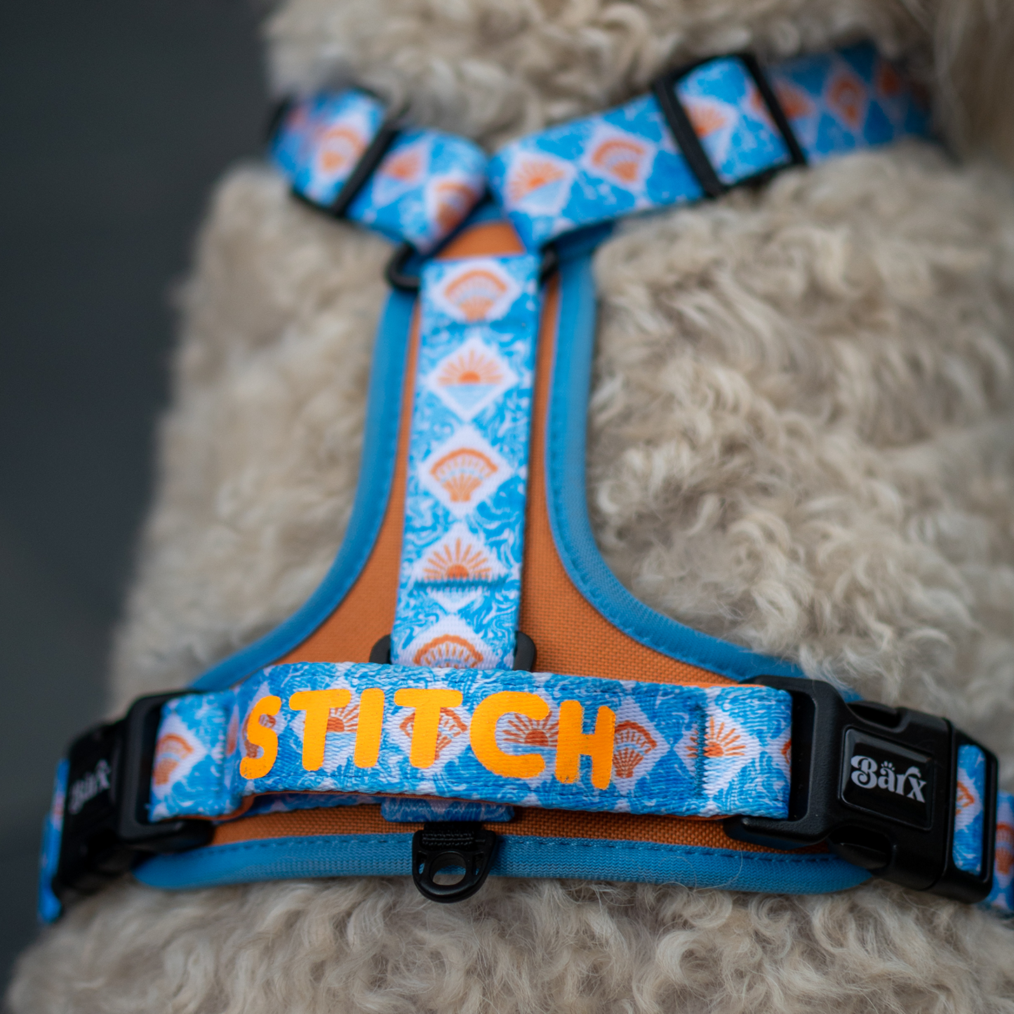 Barx - Adventure Air Geschirr | Hope Harbor