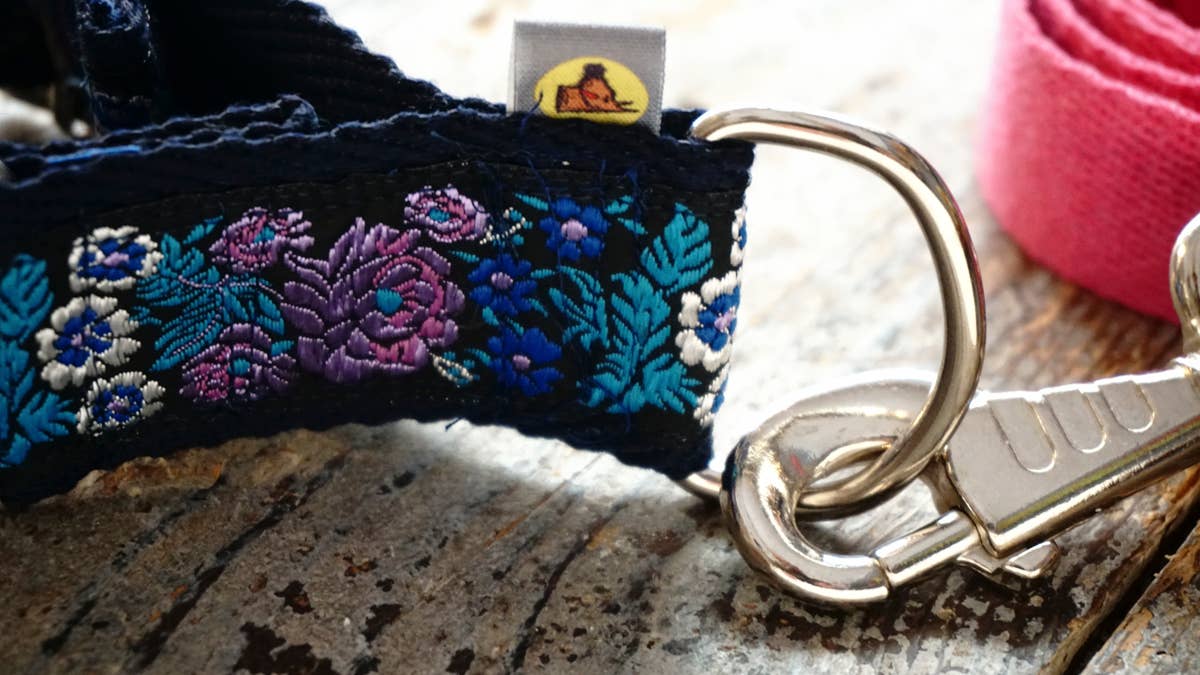 Hundsfutter - Hundehalsband mit bunter Leine