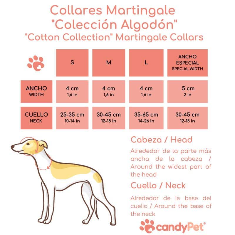 Martingale-Halsband - AKANTHUS
