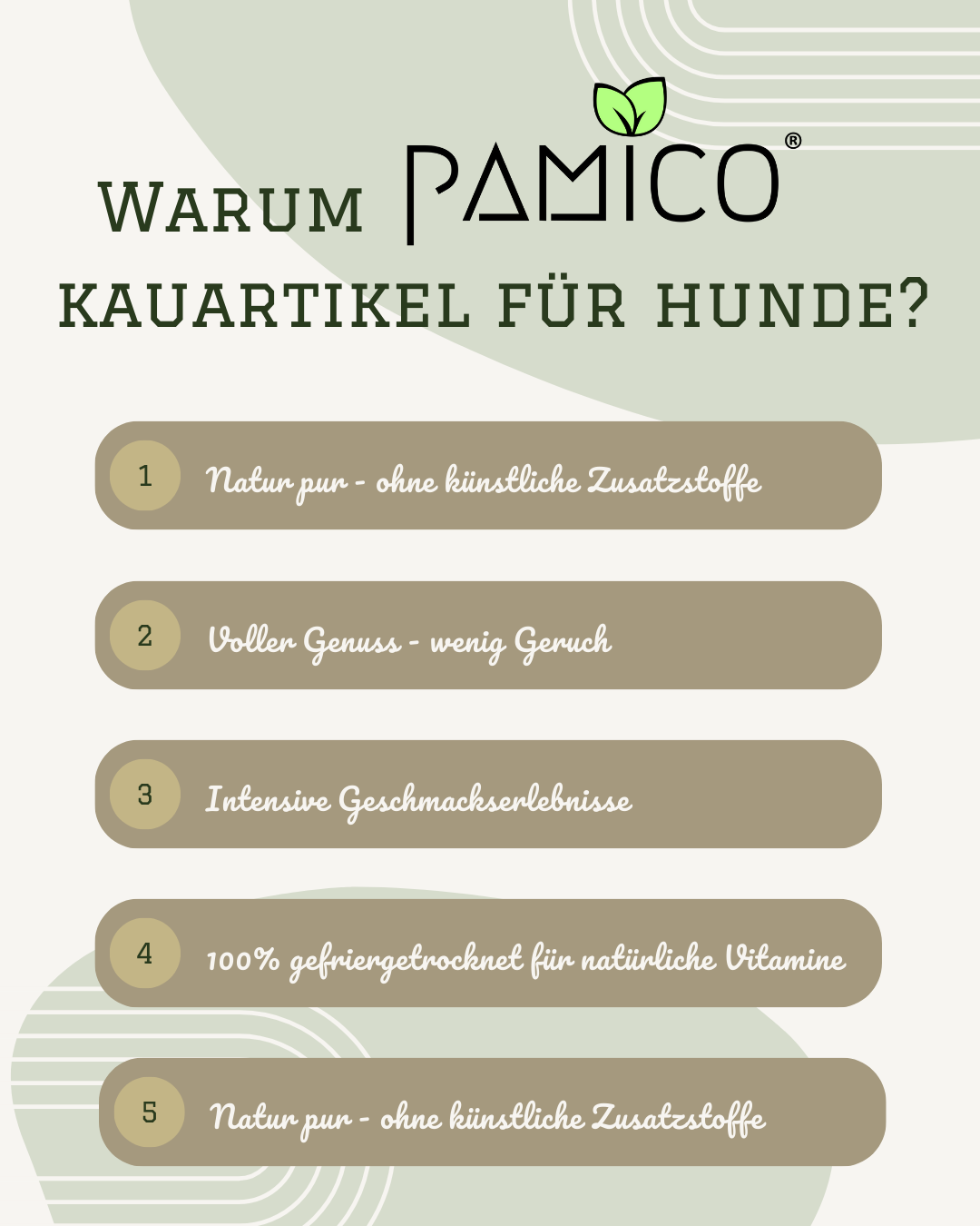 Pamico - Käse gefriergetrocknet | natürlich, gesunder & proteinreicher Kausnack für Hunde