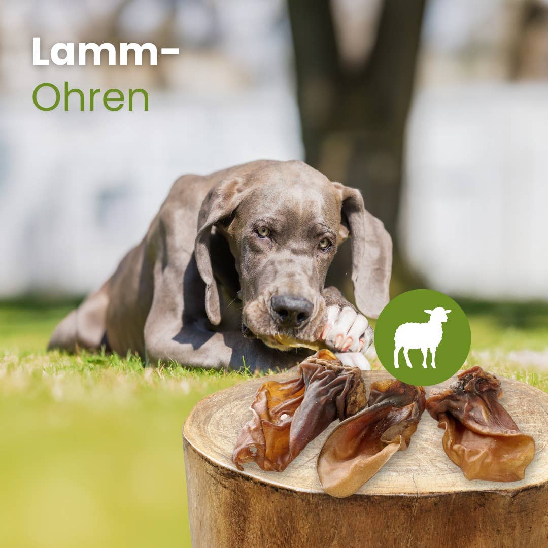 Kauartikel.com - Lamm-Ohren - 250g
