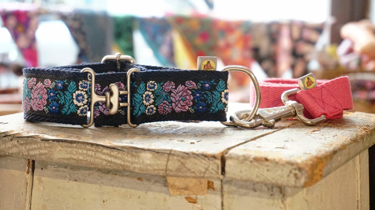 Hundsfutter - Hundehalsband mit bunter Leine