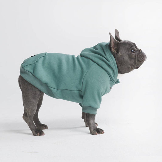 _Spark Paws - Essential Hoodie für Hunde, Blaugrün