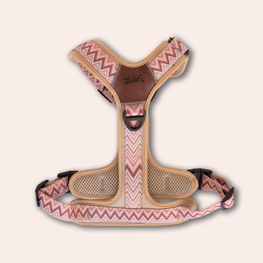 Barx - Abenteuer Luftgeschirr | Missoni