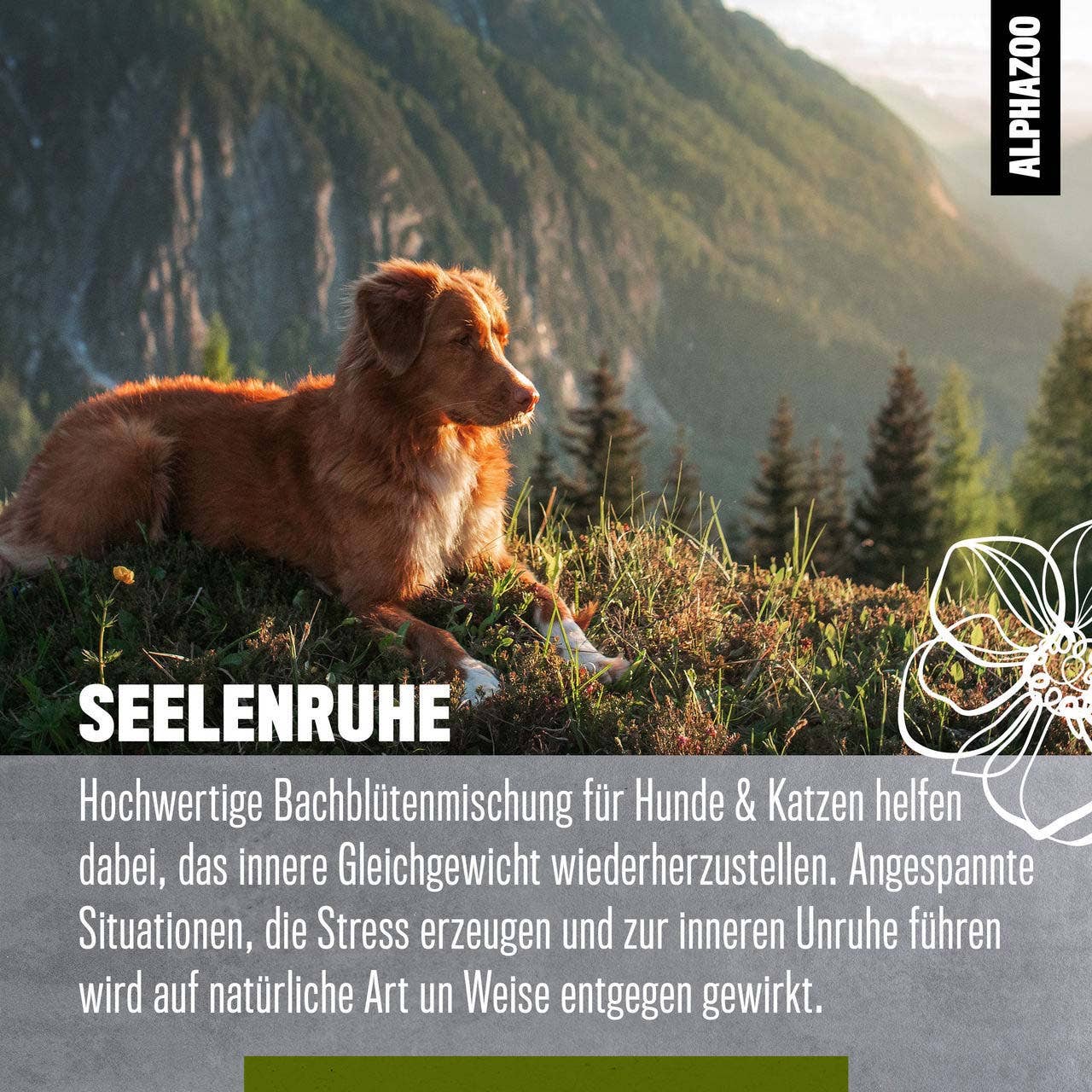 Alphazoo - Seelenruhe Bachblüten, Beruhigung für Hunde & Katzen