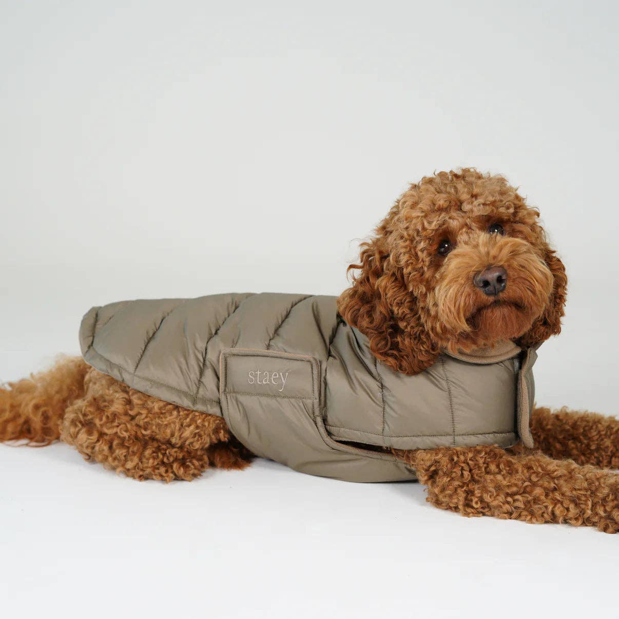 Staey - Hundemantel Nora | Nature