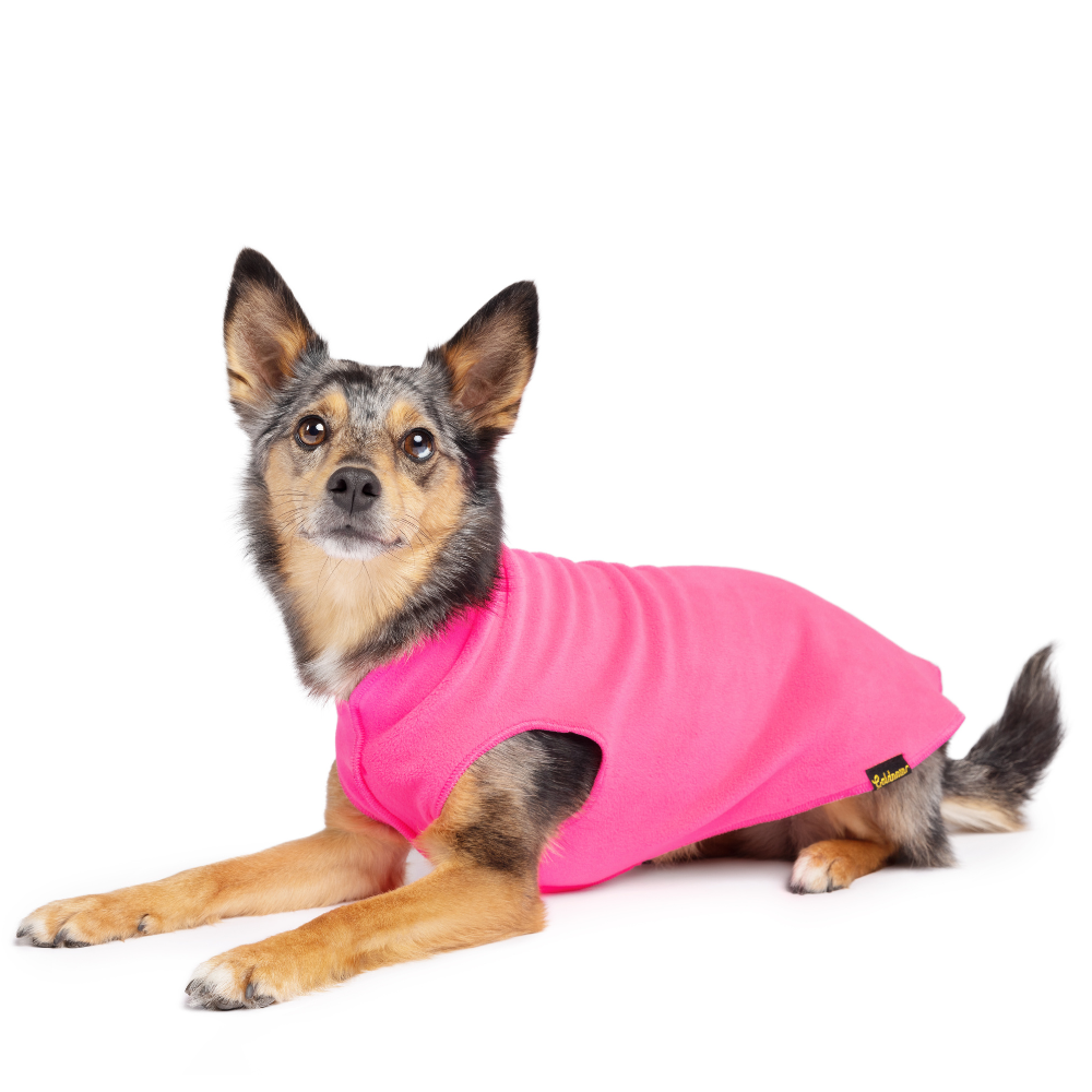 _Gold Paw - Stretch-Fleece Größen 2-12