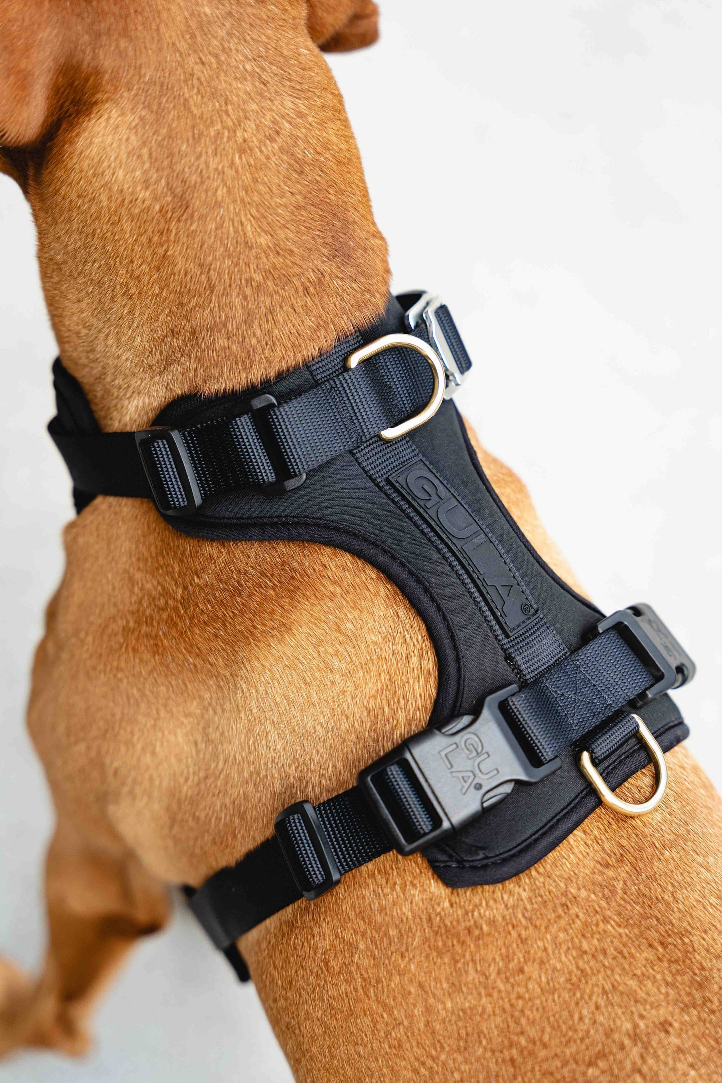 GULA - Hundegeschirr - Ganz in Schwarz