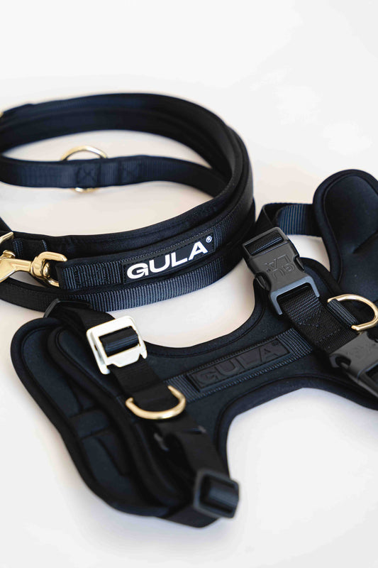 GULA - Hundegeschirr - Ganz in Schwarz