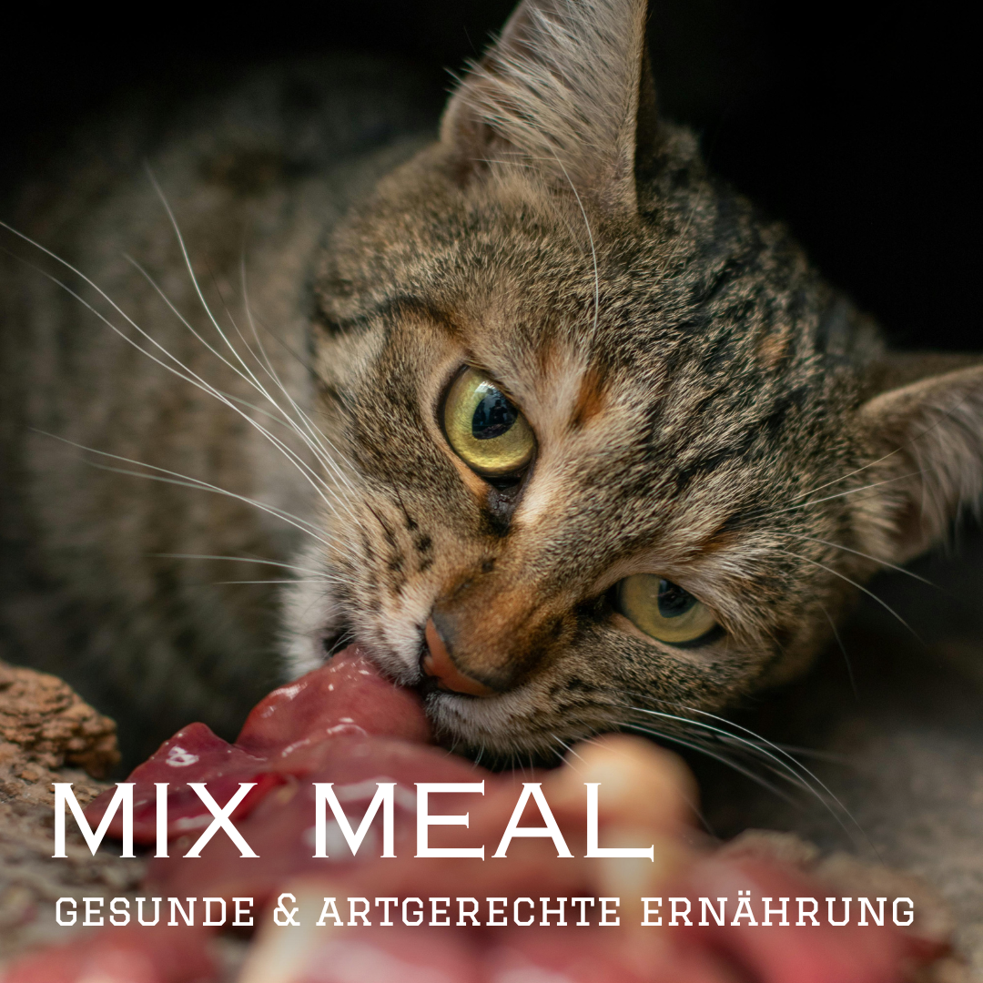 Pamico - Hühnerherzen gefriergetrocknet - MIX MEAL Trockenbarf