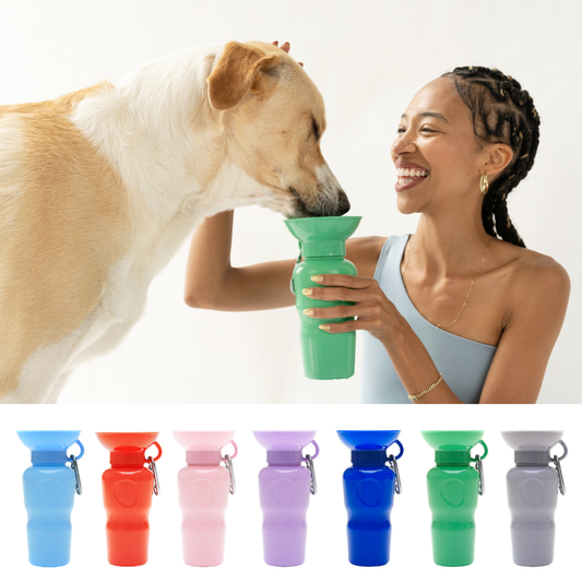 Springer - Reisetrinkflasche für Hunde - 590ml