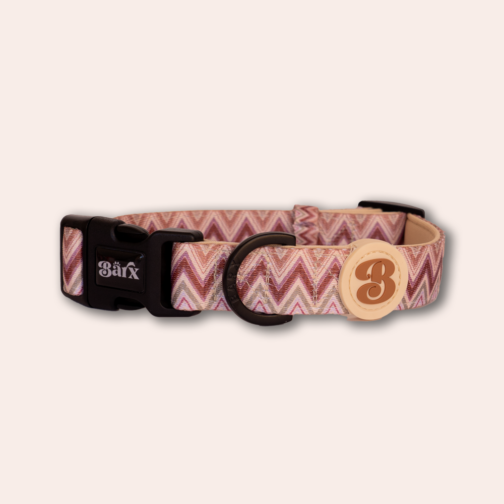 Barx - Halsband | Missoni