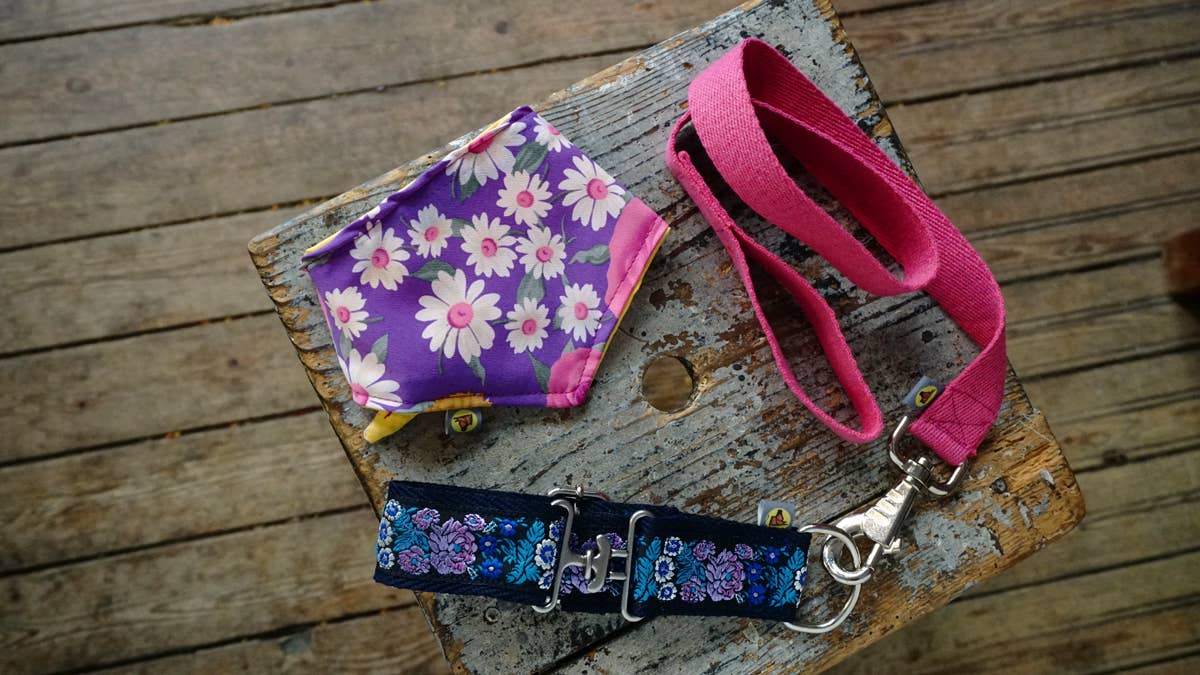 Hundsfutter - Hundehalsband mit bunter Leine