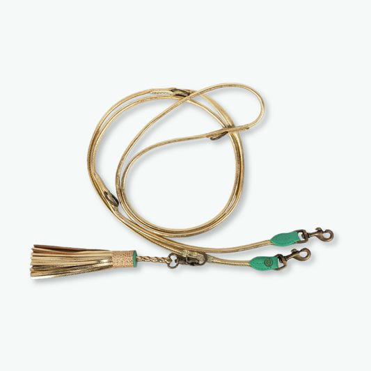 Dog with a Mission - Extra Lange Goldene Leder Hundeleine S (220 cm x 1 cm)