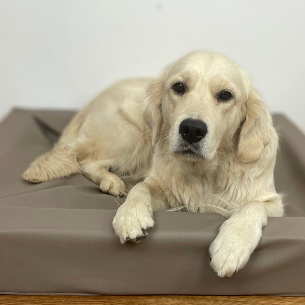 Lucky-Pet Hundebett Kvadro, cappuccino