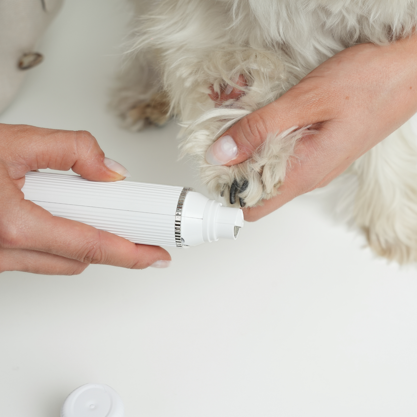 Staey - PurePaw Elektrischer Nagelfeiler für Hunde