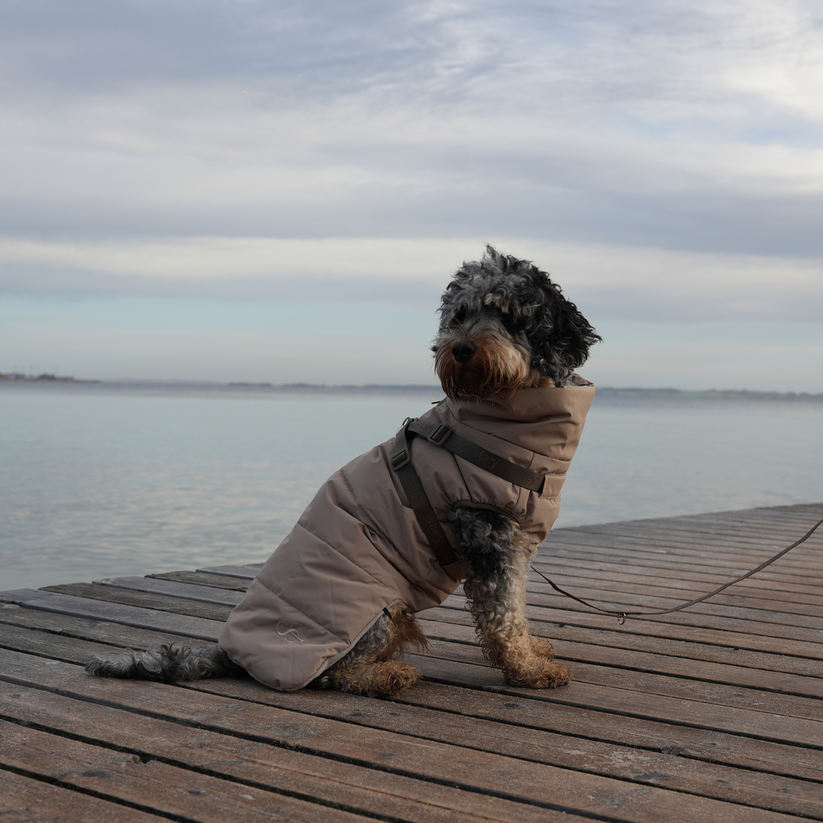Staey - Vera Hundemantel mit Geschirr | Sand