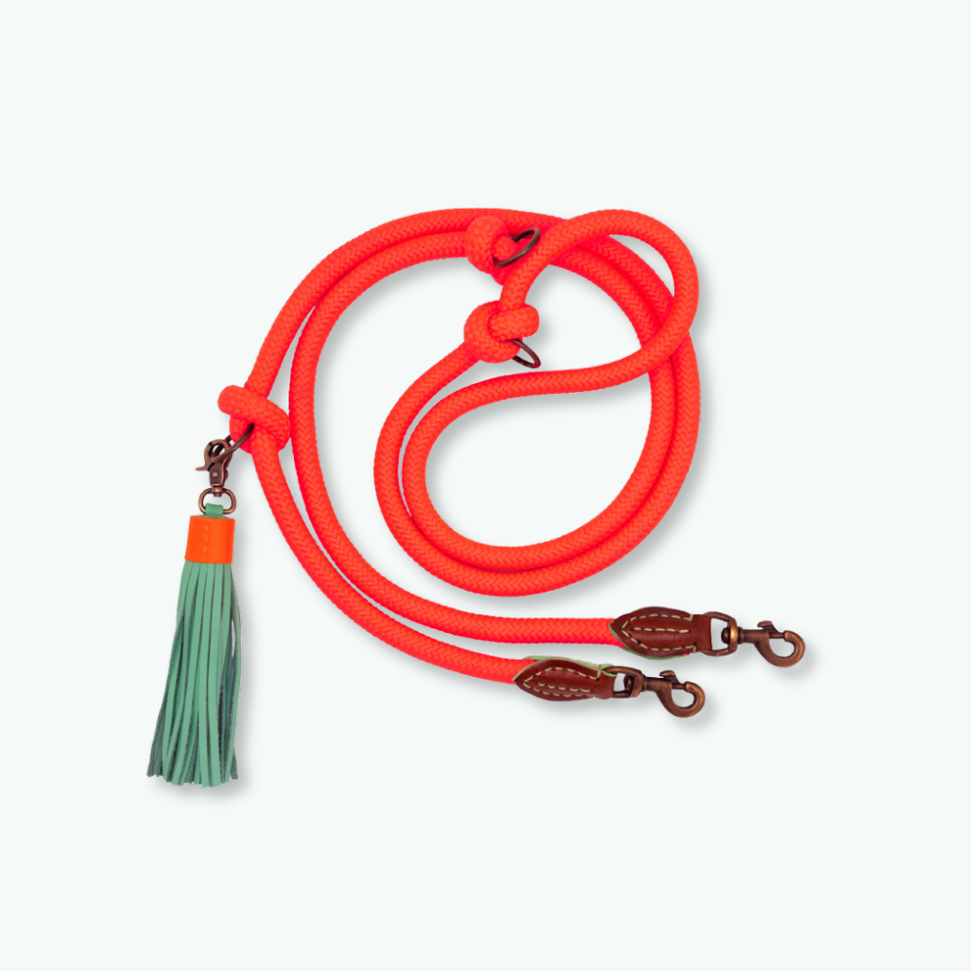 Dog with a Mission - Extra lange Carrot Cake Hundeleine