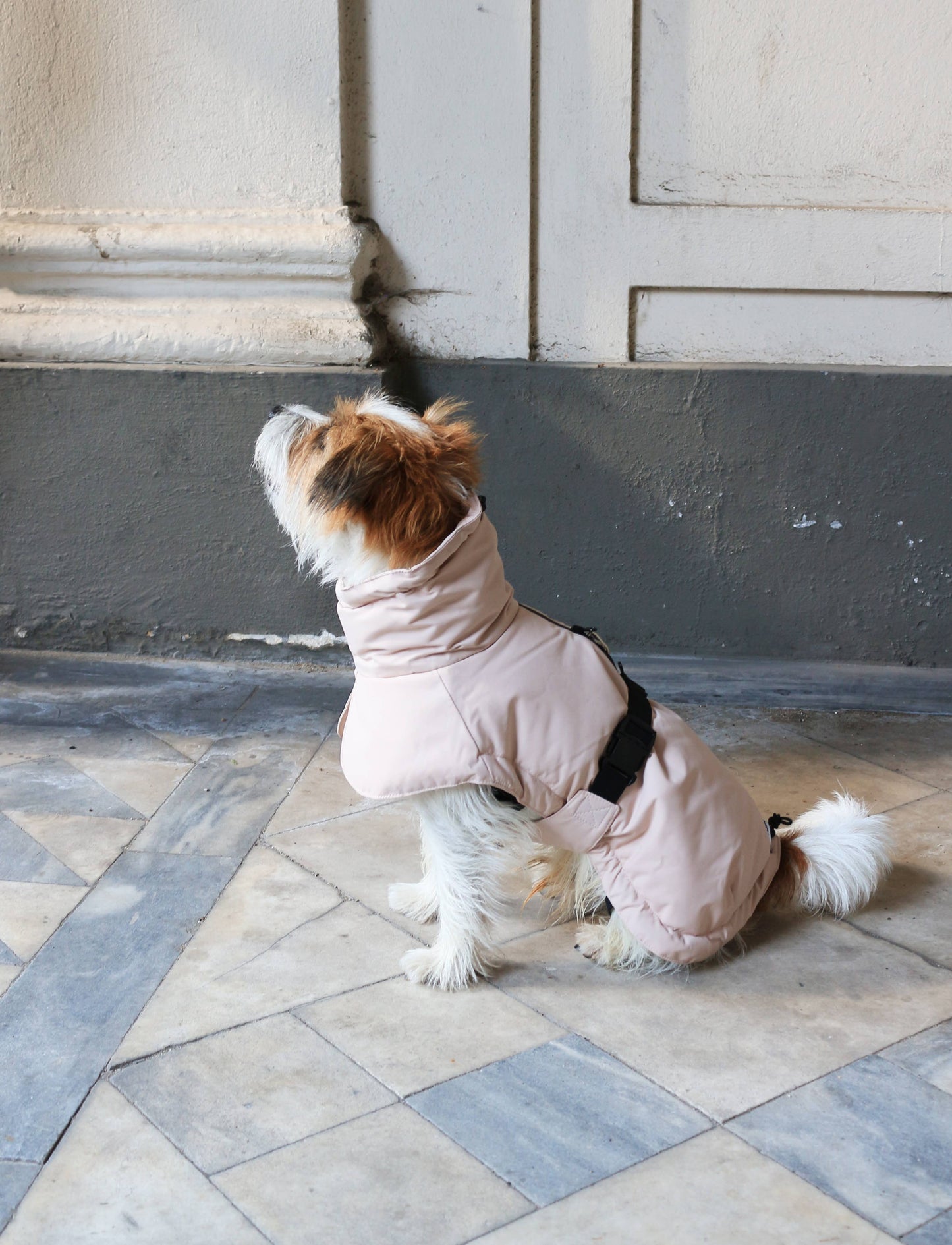 tadazhi - Winterjacke Rose