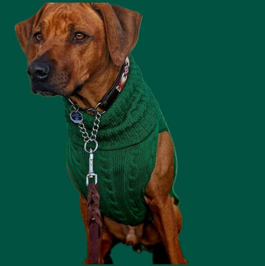 Kay-Line - Hundepullover SMARTY GRÜN 100 % Merinowolle   