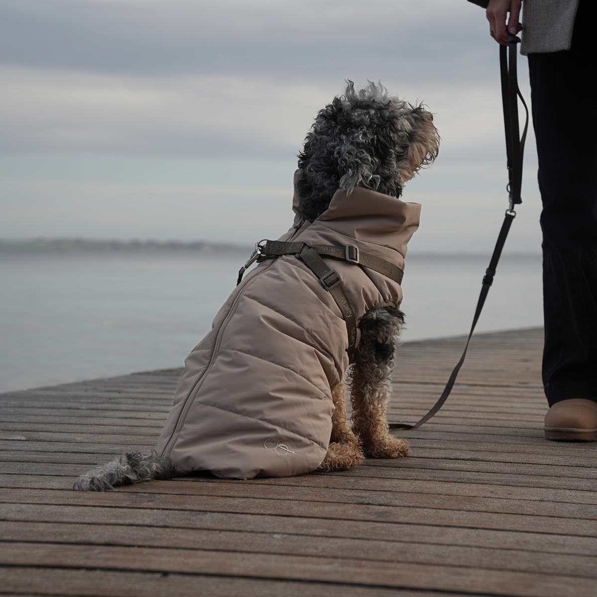 Staey - Vera Hundemantel mit Geschirr | Sand