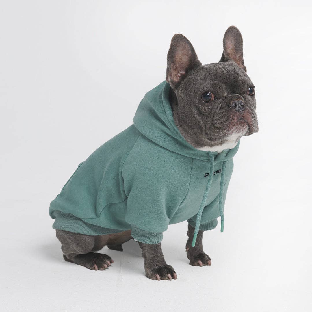 _Spark Paws - Essential Hoodie für Hunde, Blaugrün