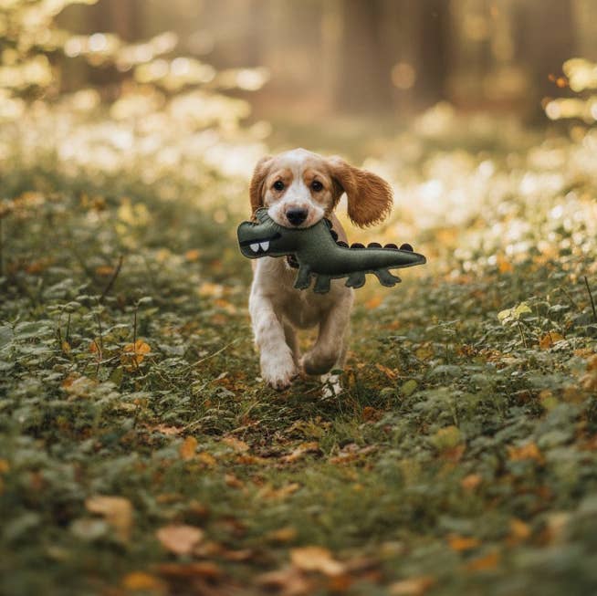 BUDDY - Hundespielzeug aus Leder "Krokodil"