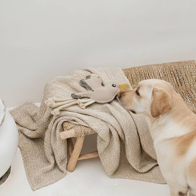 BUDDY - Hundespielzeug aus Leder "Möve"