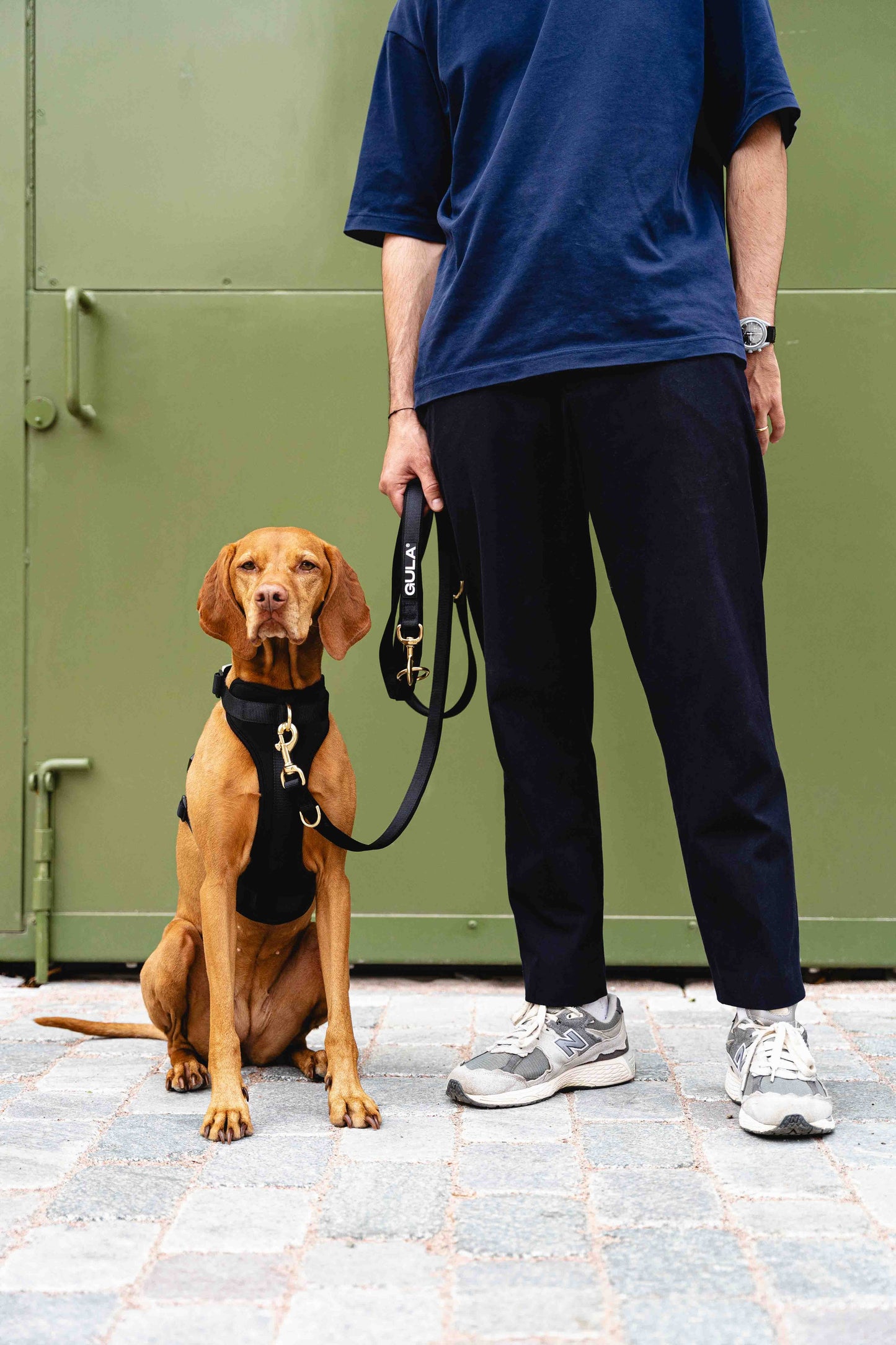 Gula - Hundeleine (Luftschichtstoff) - Ganz in Schwarz