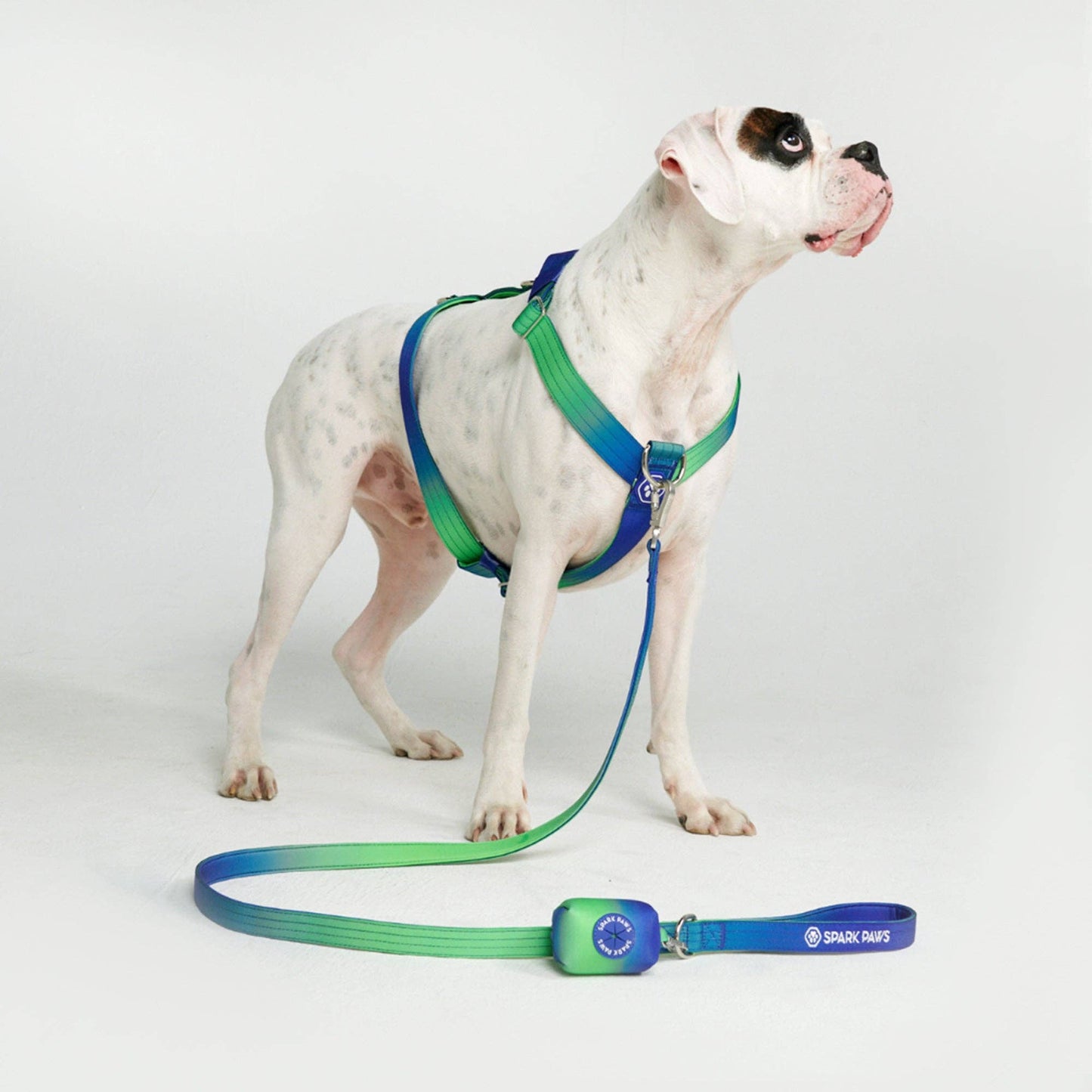 Sparkpaws Comfort Control Hundeleine - Lime Wave