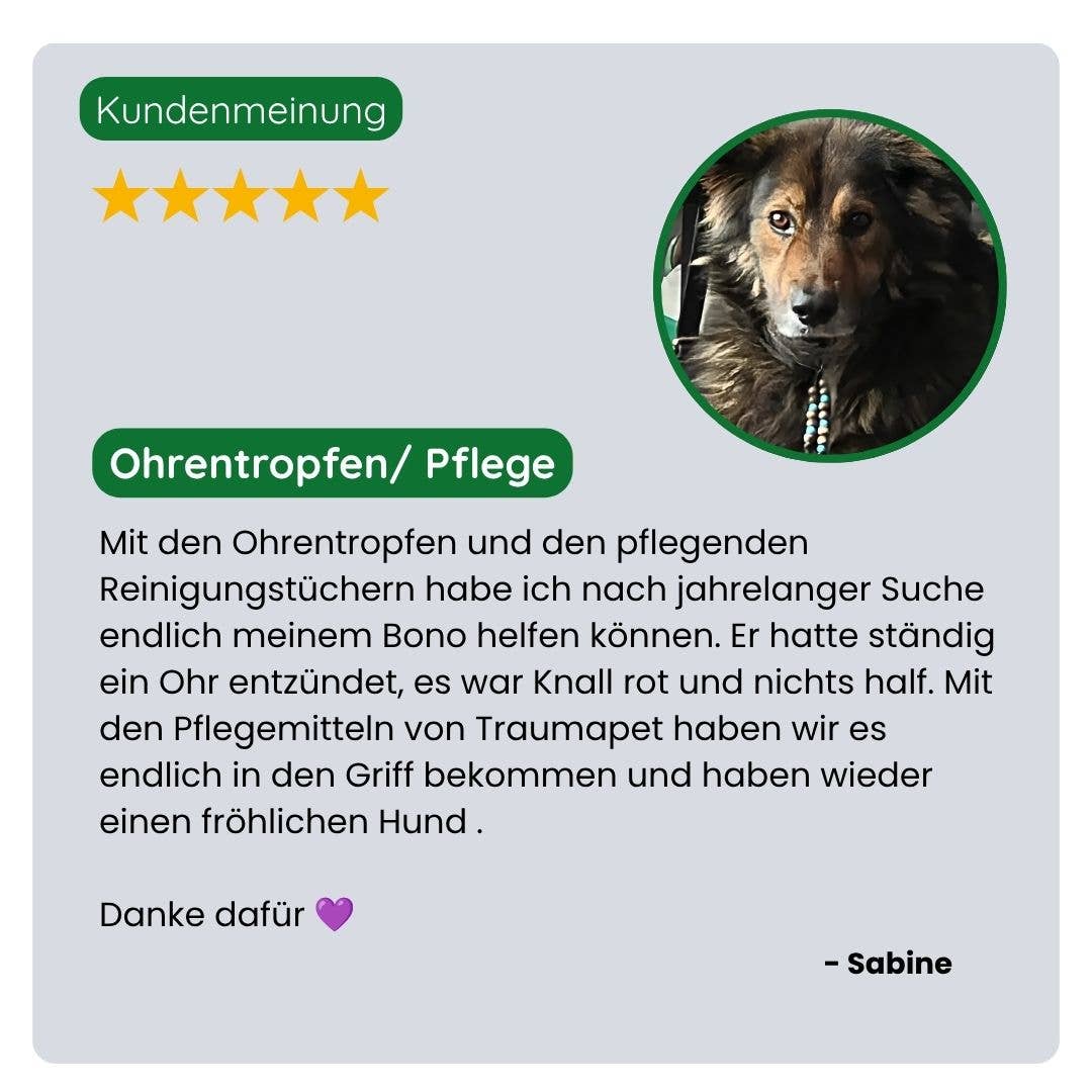 TraumaPet Deutschland - Ohrentropfen für Hund & Katze – Juckreiz, 50 ml