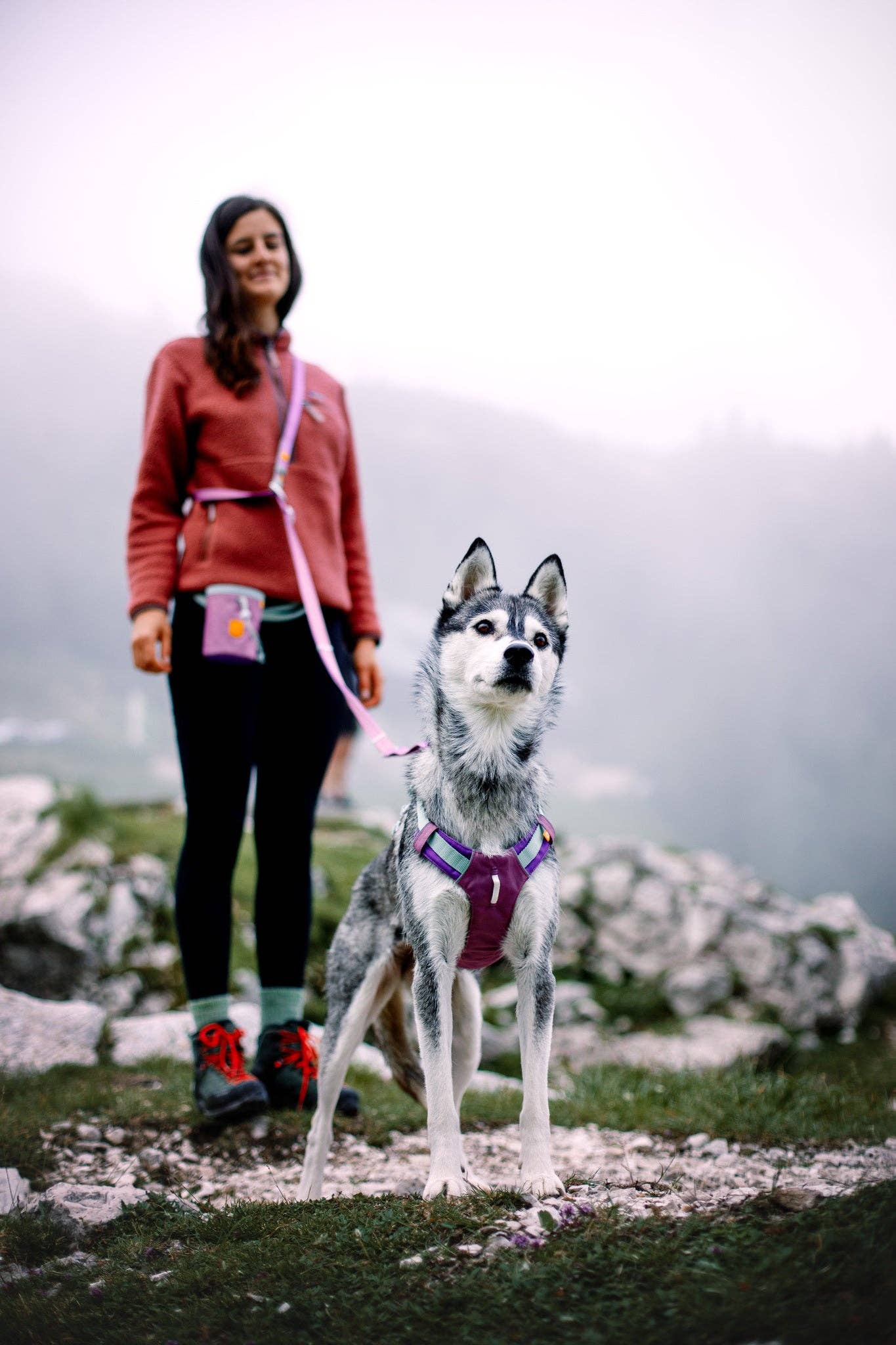 Woolly Wolf - Alpha 360 Harness Mauve Mix