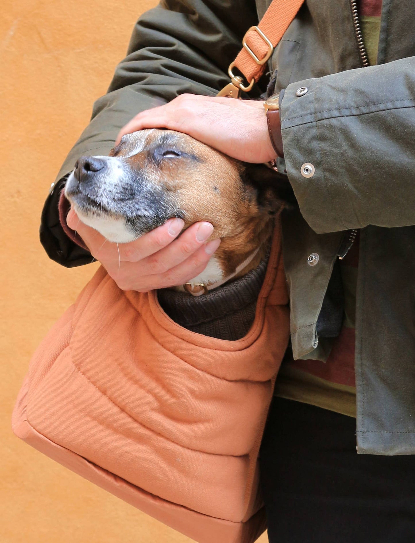 tadazhi - RIO Hundetragetasche - Hellbraun