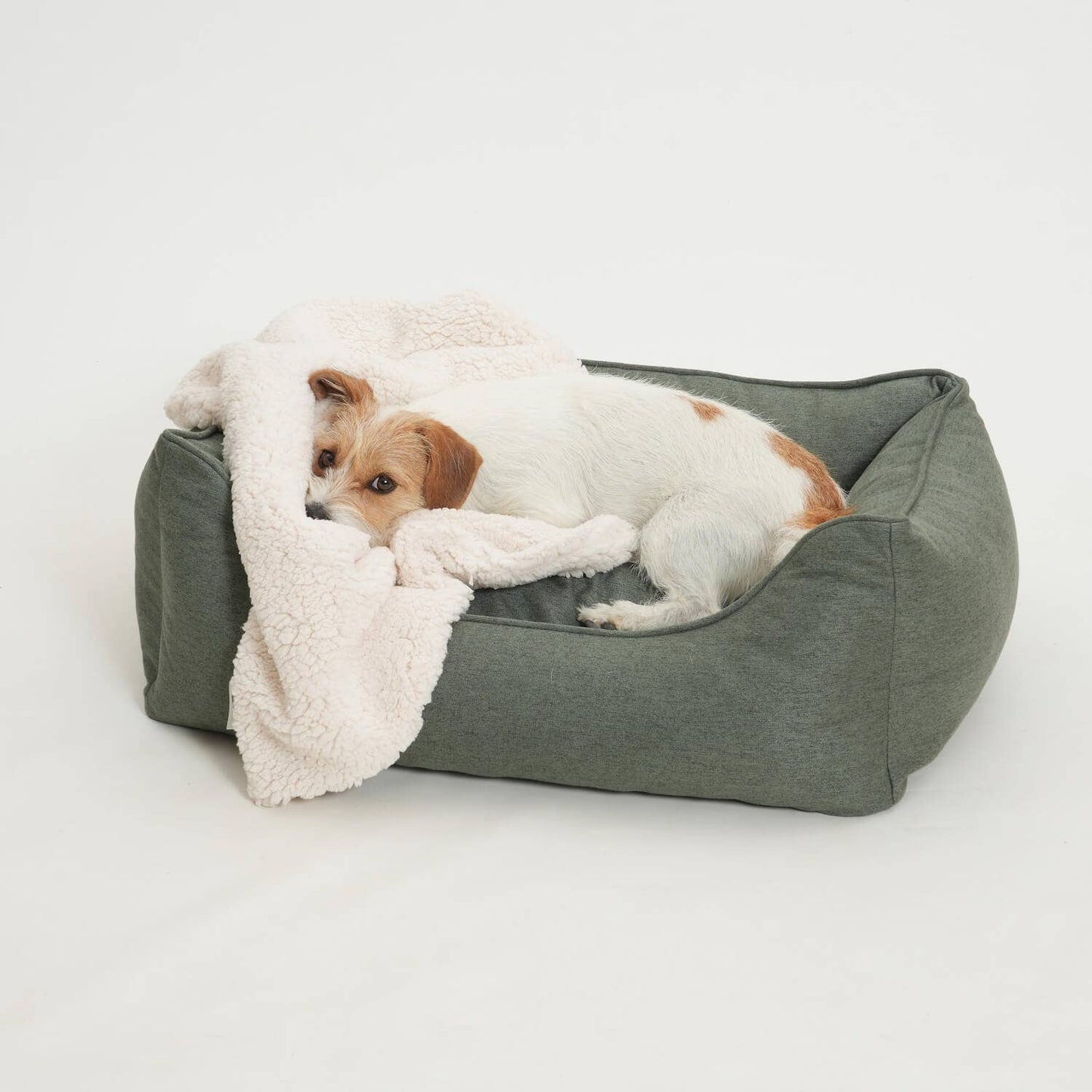 DOGS in the CITY® - Hundebett Box Bett Ono