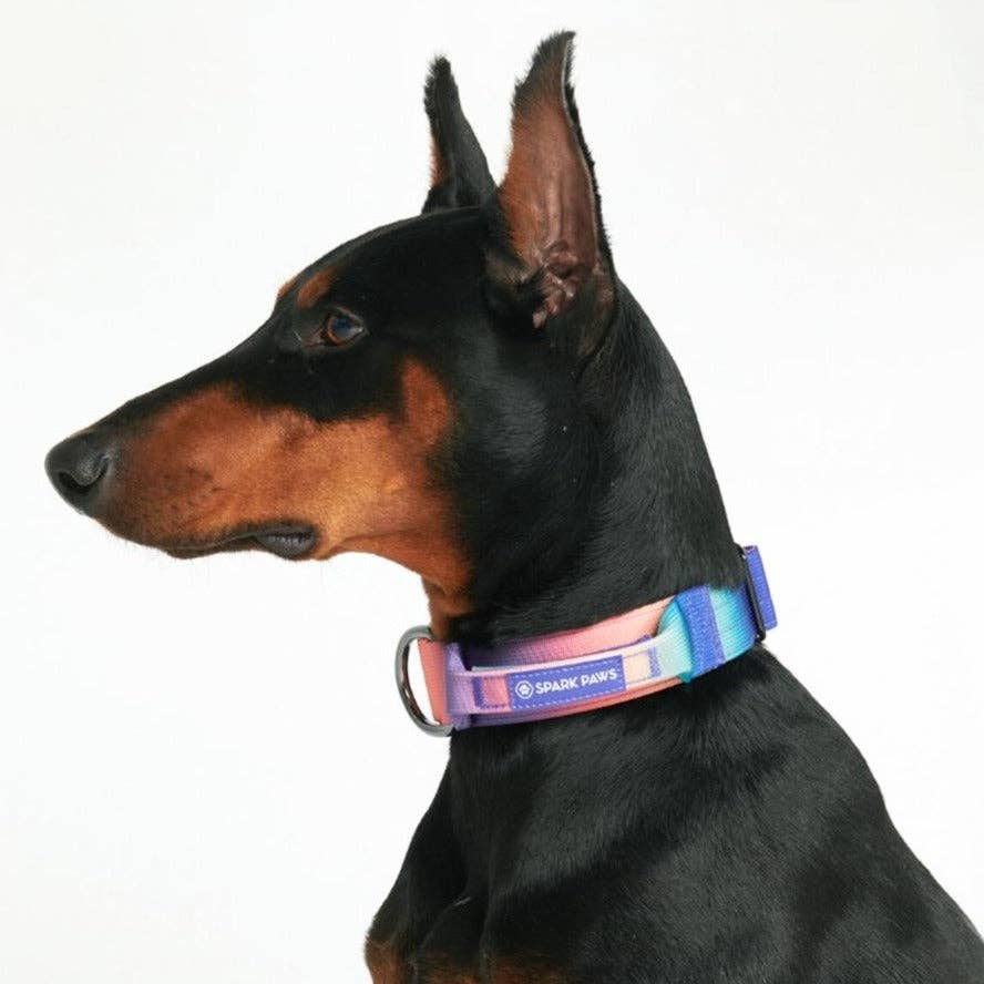 Spark Paws - Taktisches Hundehalsband — Kaleidoskop (1,5 Zoll/4 cm)