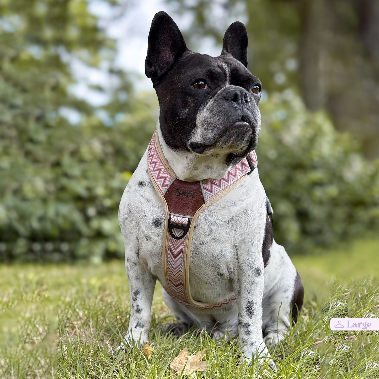 Barx - Abenteuer Luftgeschirr | Missoni