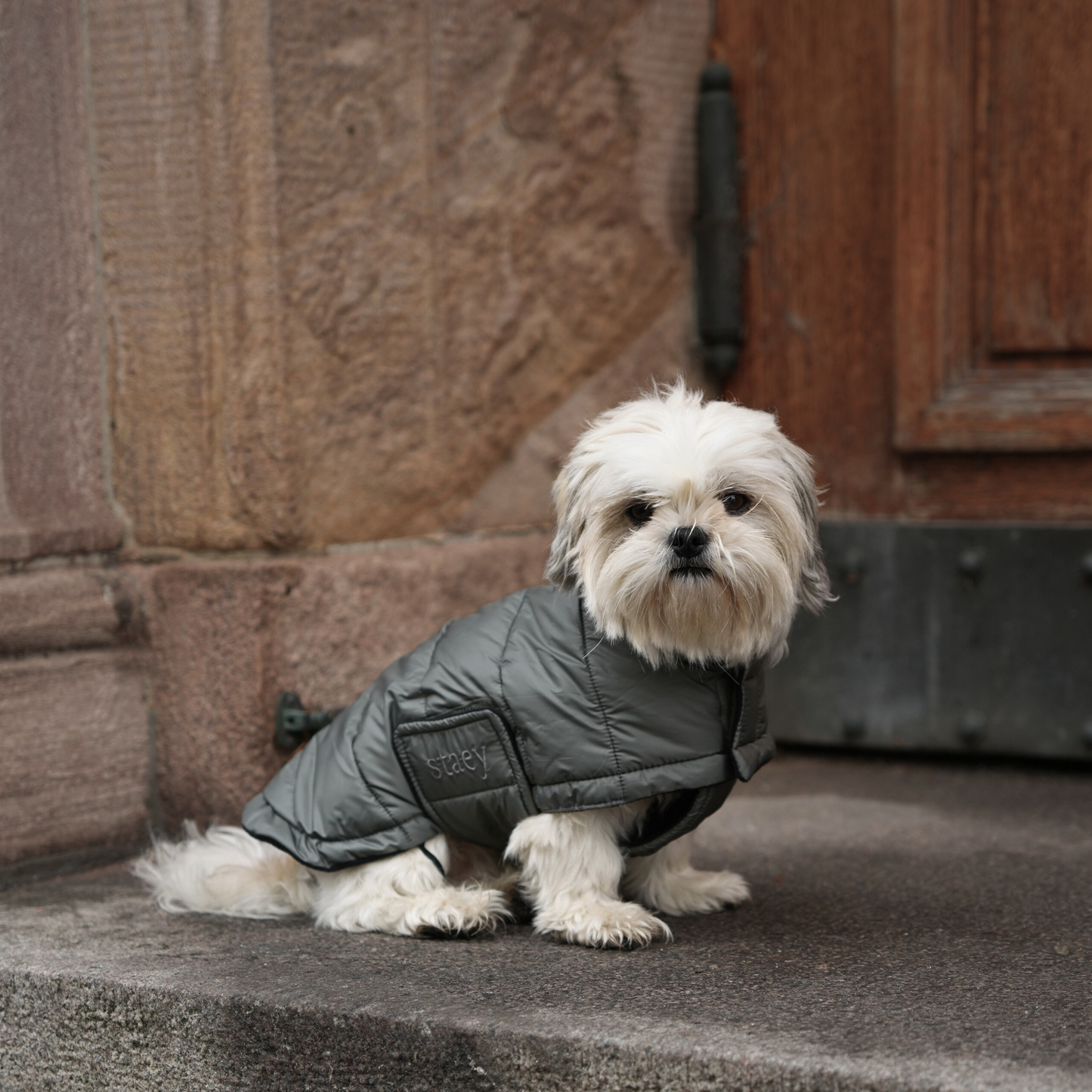 Staey - Hundemantel Nora | Moosgrün