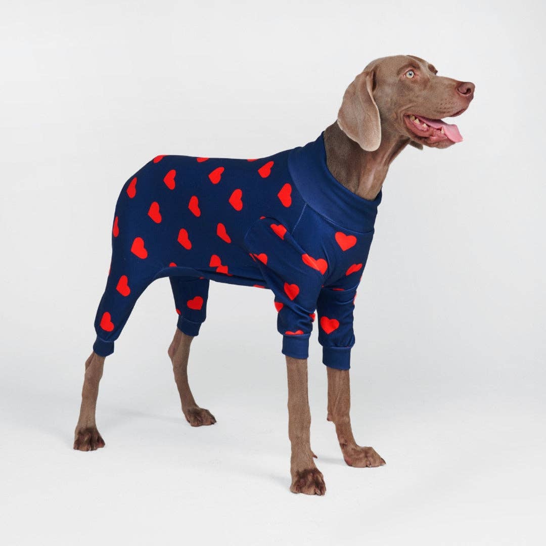 Hunde-Pyjama - Hearts