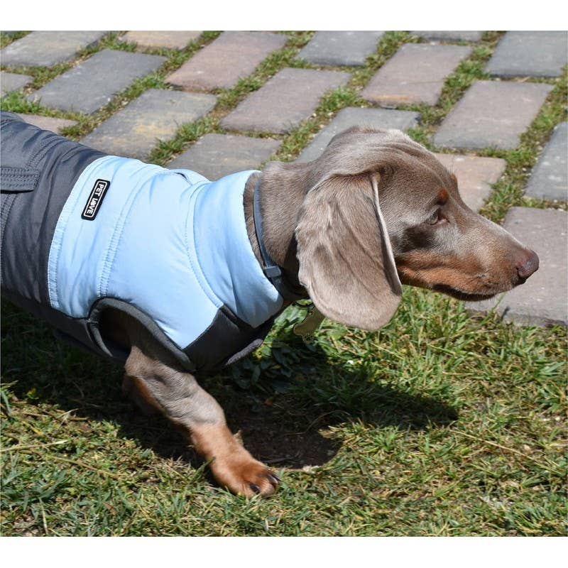 Nayeco -Blaue Jacke von Monte Carlo: 35 cm
