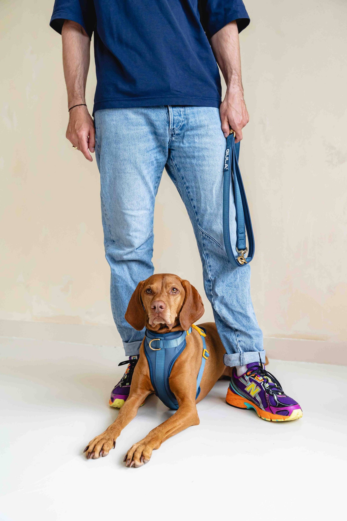 Hundegeschirr NEU - Blau & Gelb - Größe S