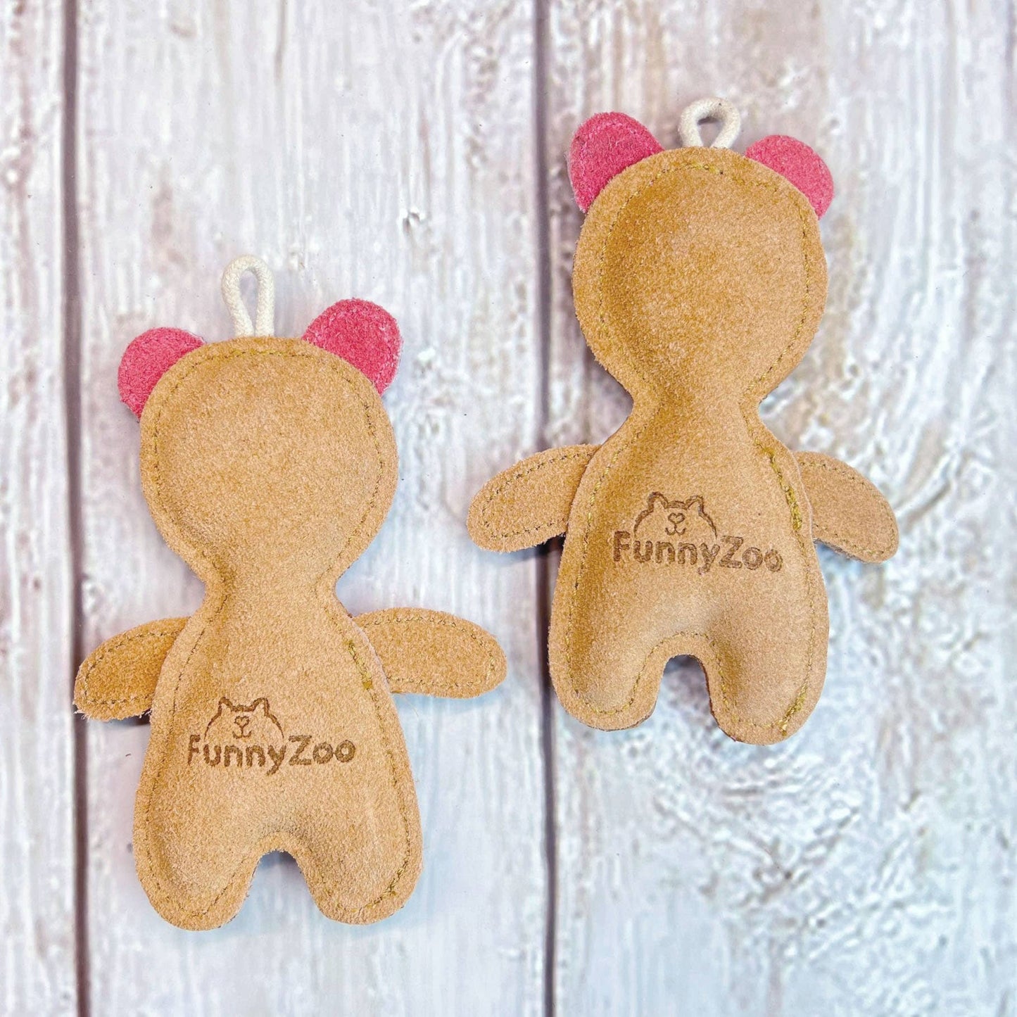 TEDDYBÄR für kleine Hunde 🐻