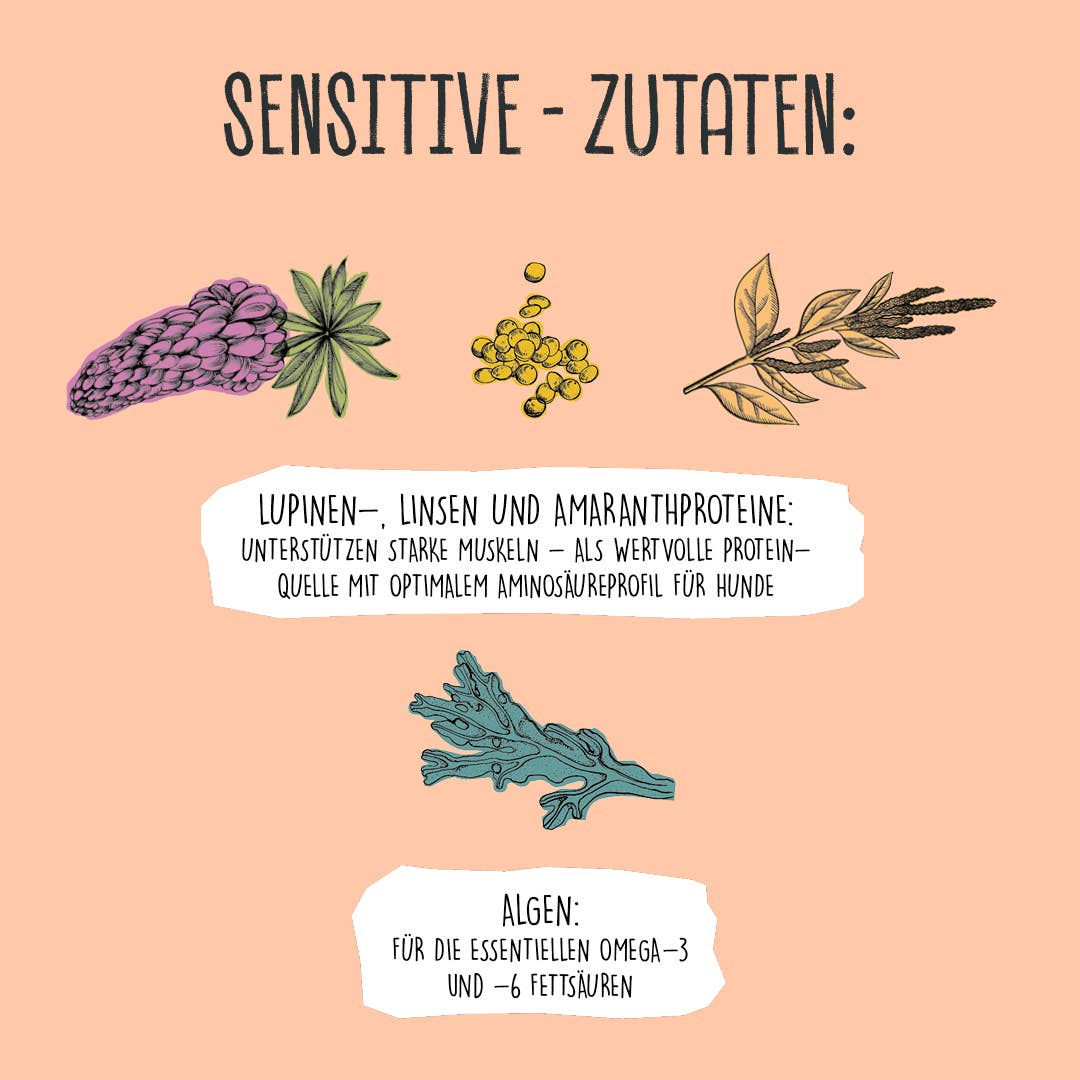 VEGDOG - SENSITIVE Lupinenprotein