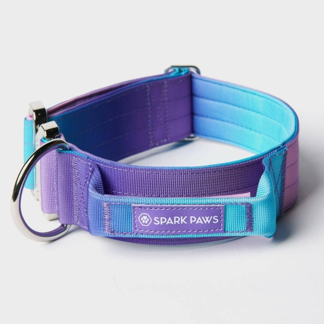 Spark Paws - Taktisches Hundehalsband — 90er Retro (2"/5cm)