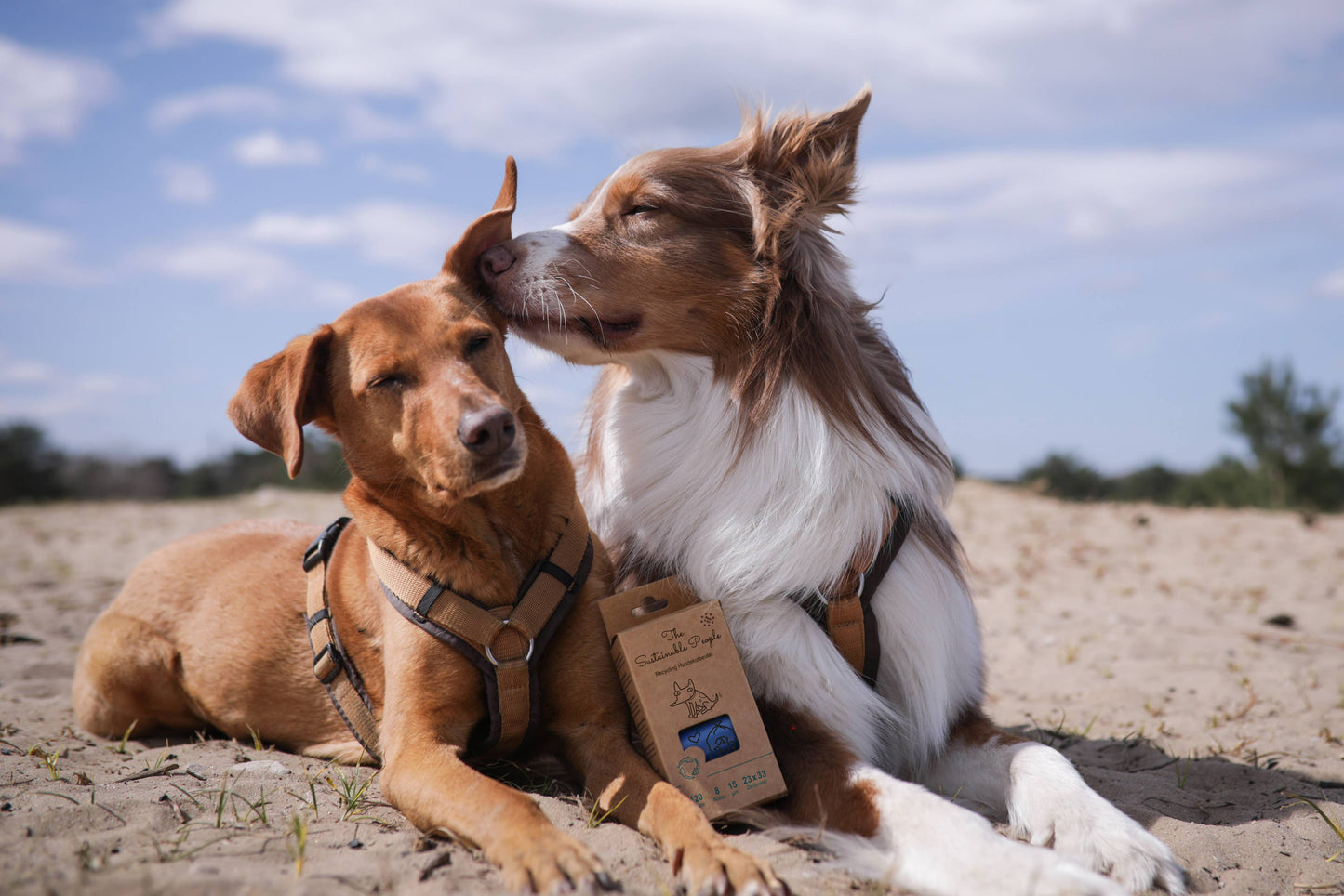 The Sustainable People - Recycling Hundekotbeutel - Made in EU, Blauer Engel zertifiziert (120 Beutel)