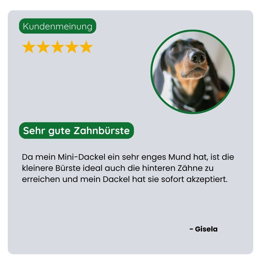 TraumaPet - Doppelseitige Bambuszahnbürste für Hund und Katze