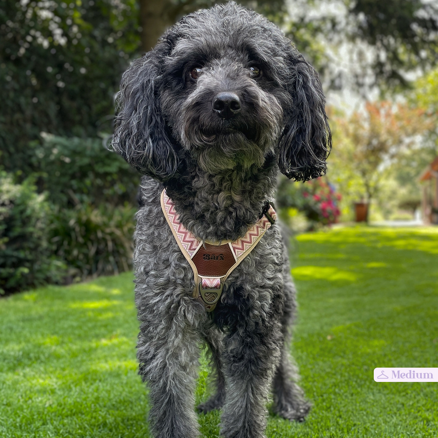 Barx - Abenteuer Luftgeschirr | Missoni